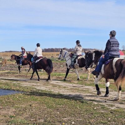 Neighs in the Maze