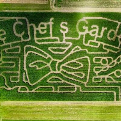 Maze After Dark