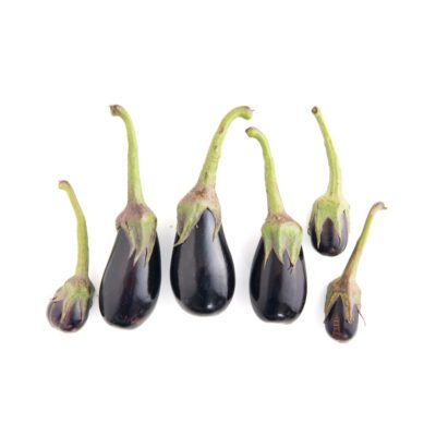 Nadia Eggplant