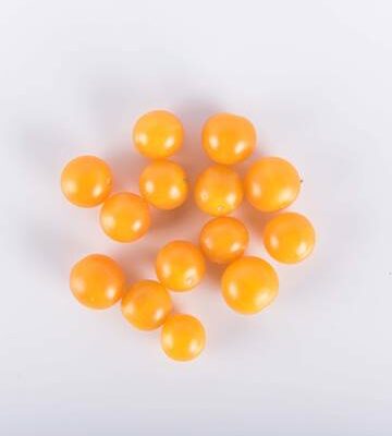 Gold Rush Currant