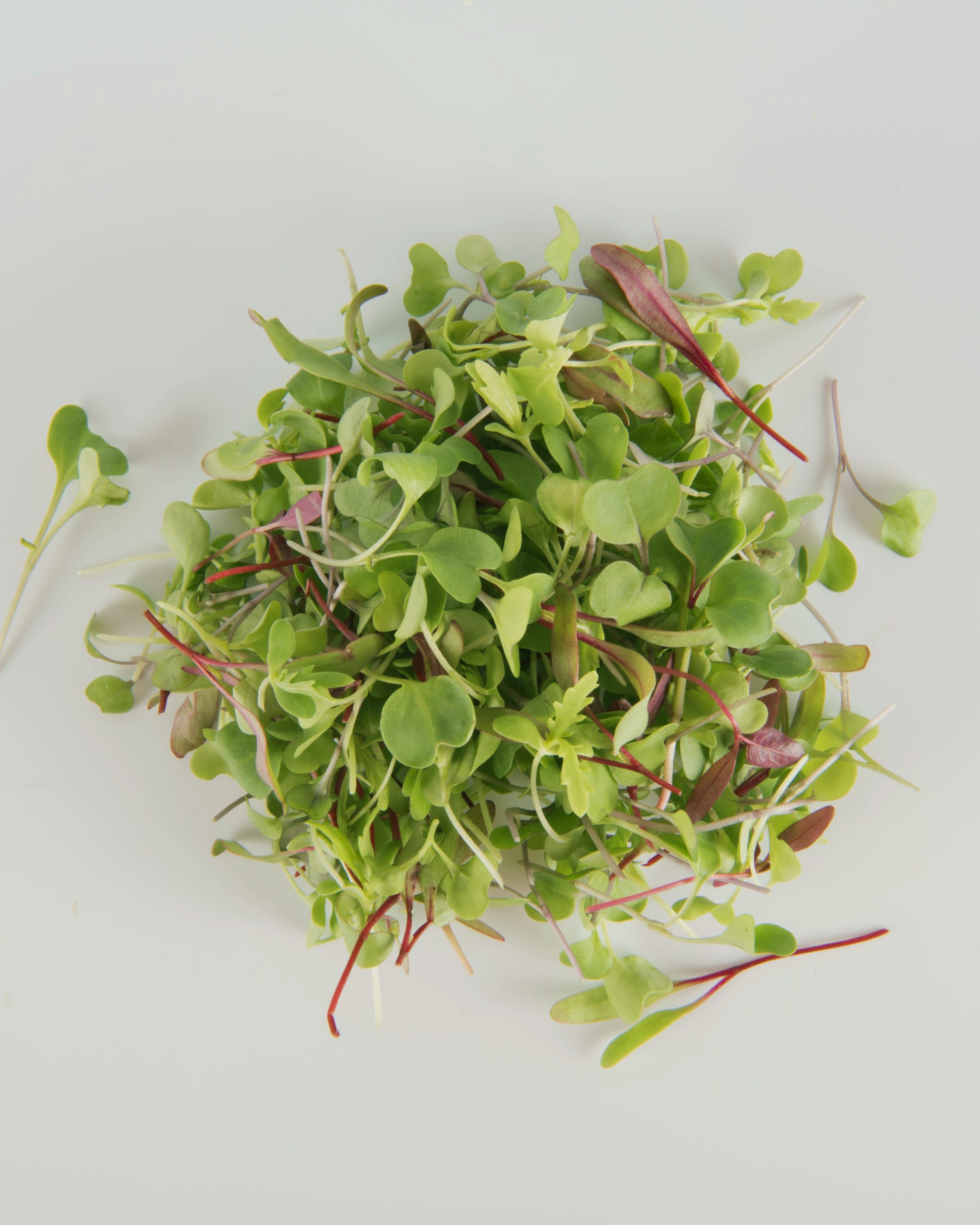 Salad Sensation®