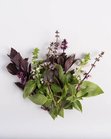 Mixed Herbs