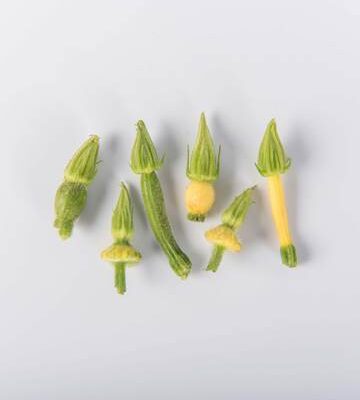Mixed Squash