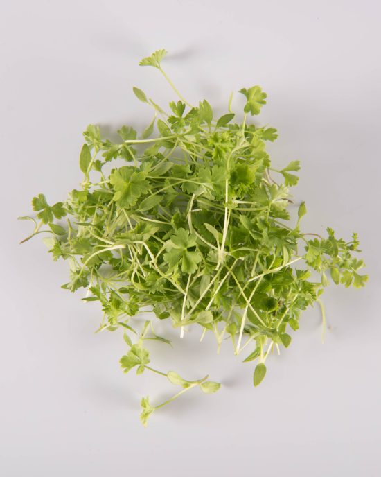 Traditional Parsley