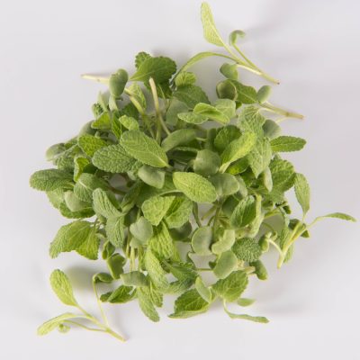 Sage