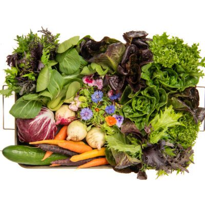 Salad Box