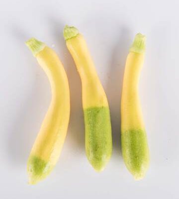 Zephyr Squash