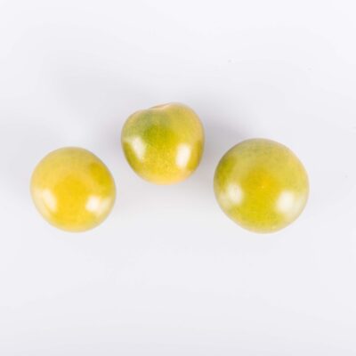 Green Doctor Tomato