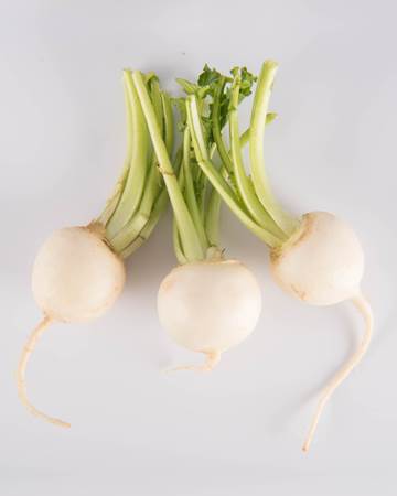 Turnips