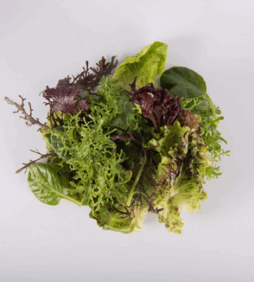 Mesclun
