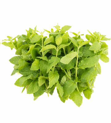 Strawberry Mint